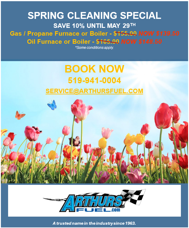 Arthur's Spring Cleaning Special